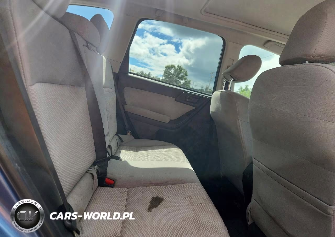 2015 Subaru Forester 2.5I Premium VIN:JF2SJAFCXFH441336 - 10