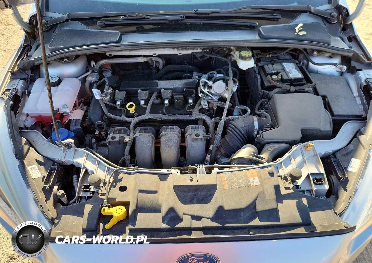 2018 Ford Focus Se VIN:1FADP3F26JL240232 - 11