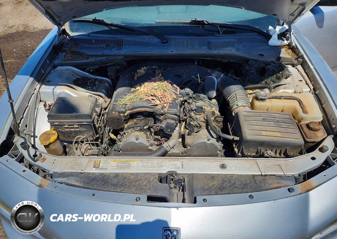 2009 Dodge Charger Sxt VIN:2B3KA33V99H544845 - 11