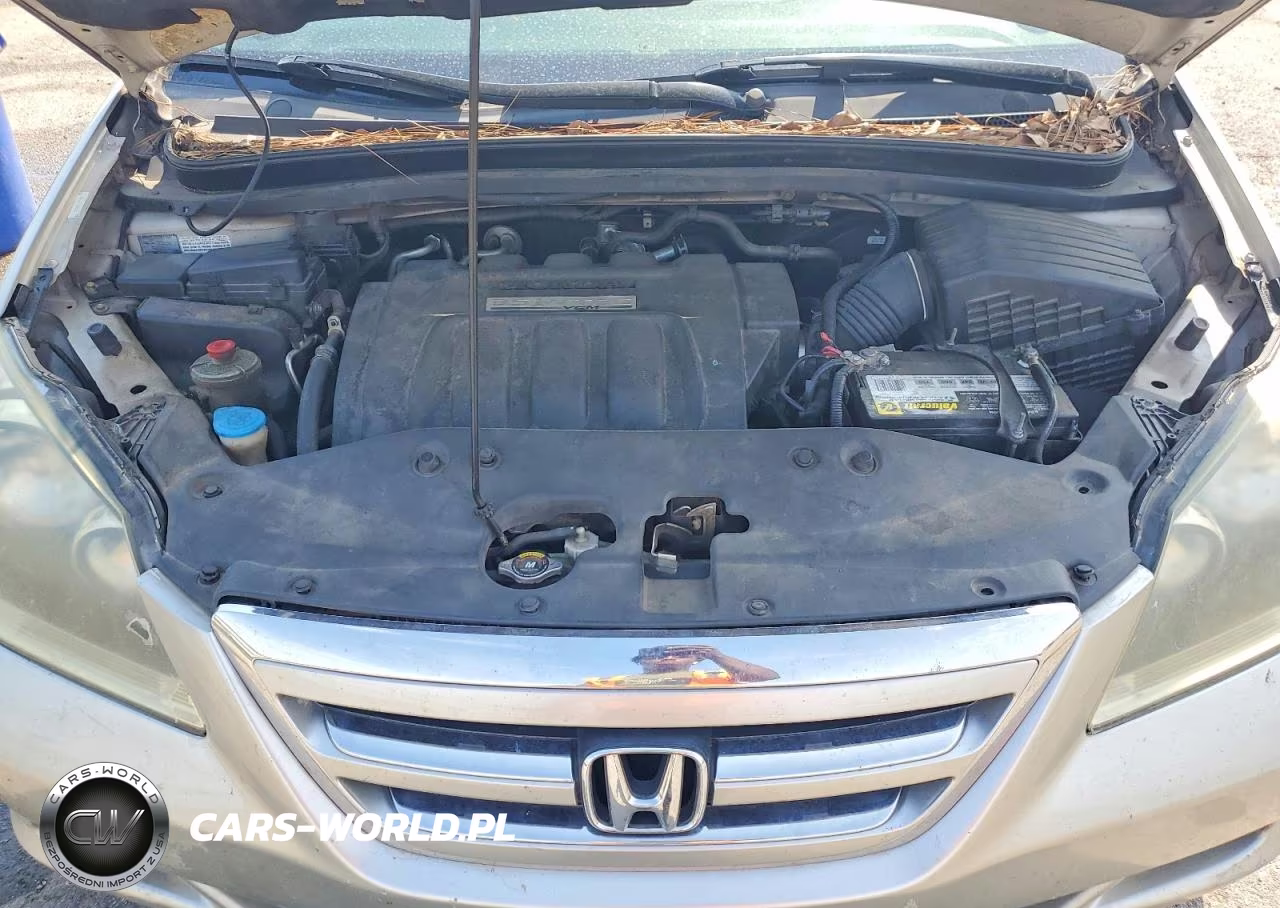 2006 Honda Odyssey Exl VIN:5FNRL38726B050460 - 12