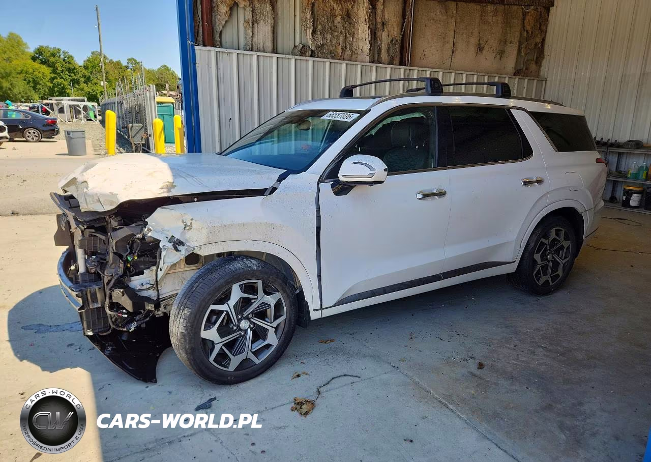 2022 Hyundai Palisade Calligraphy VIN:KM8R7DHE5NU385979 - 1