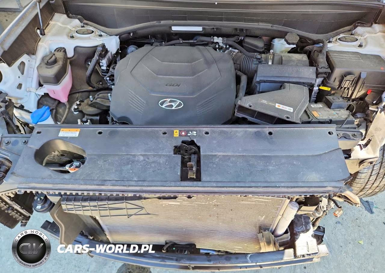 2022 Hyundai Palisade Calligraphy VIN:KM8R7DHE5NU385979 - 12