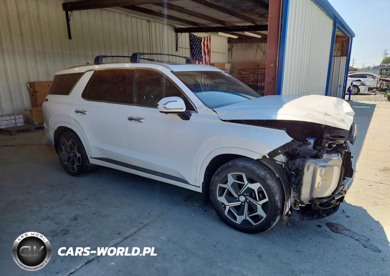 2022 Hyundai Palisade Calligraphy VIN:KM8R7DHE5NU385979 - 4