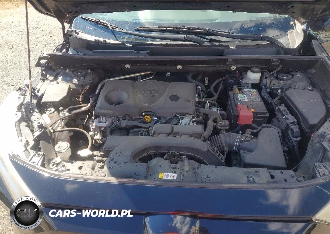 2019 Toyota Rav4 Xle VIN:JTMW1RFV2KD011723 - 12