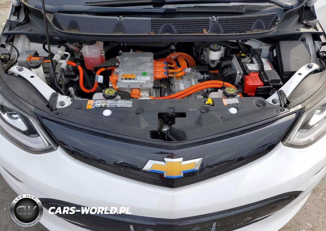 2017 Chevrolet Bolt Ev Lt VIN:1G1FW6S00H4182434 - 12