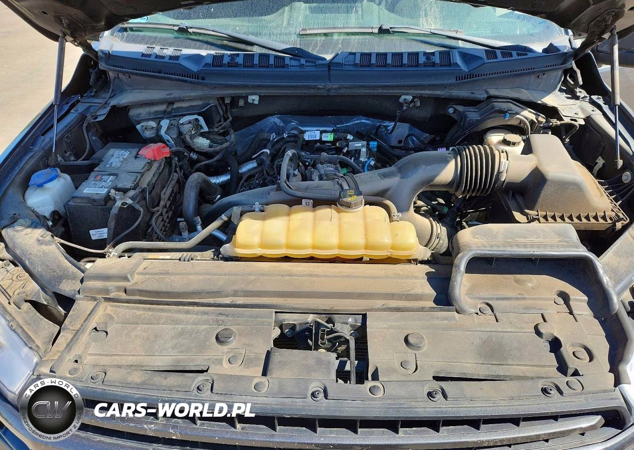 2020 Ford F150 Supercrew VIN:1FTEW1EP5LKE26923 - 11