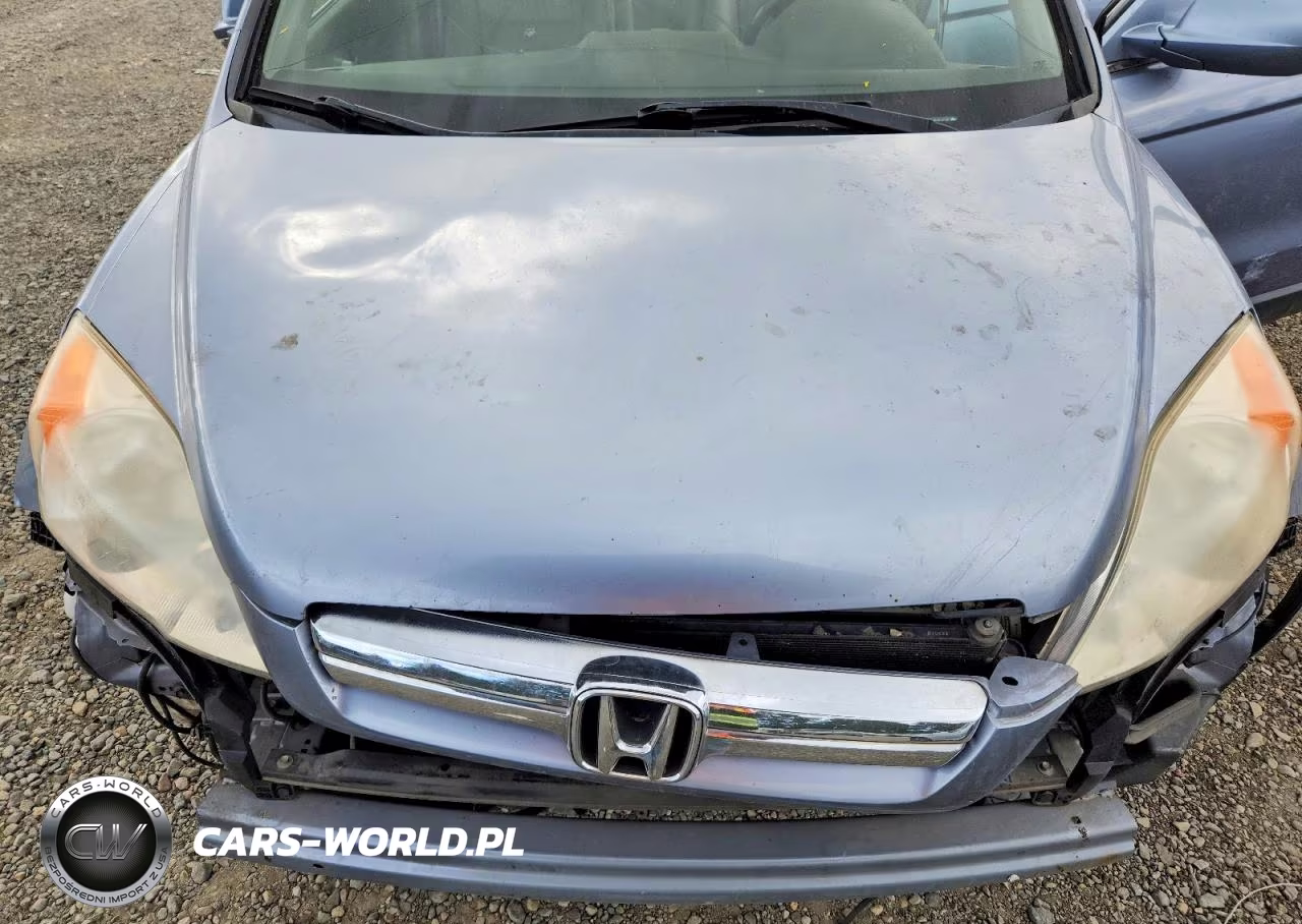 2007 Honda Cr-V Exl VIN:JHLRE48747C100356 - 12