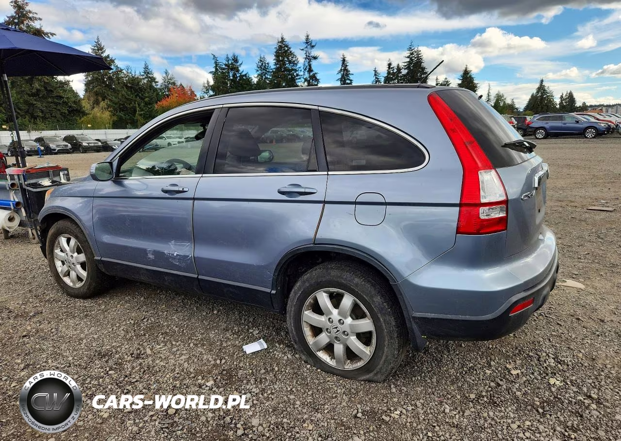 2007 Honda Cr-V Exl VIN:JHLRE48747C100356 - 2