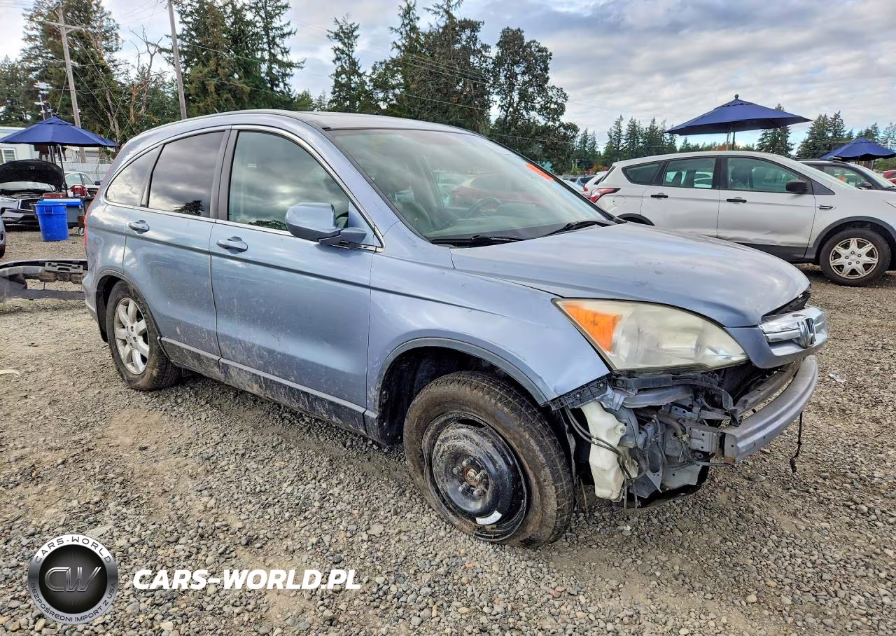 2007 Honda Cr-V Exl VIN:JHLRE48747C100356 - 4