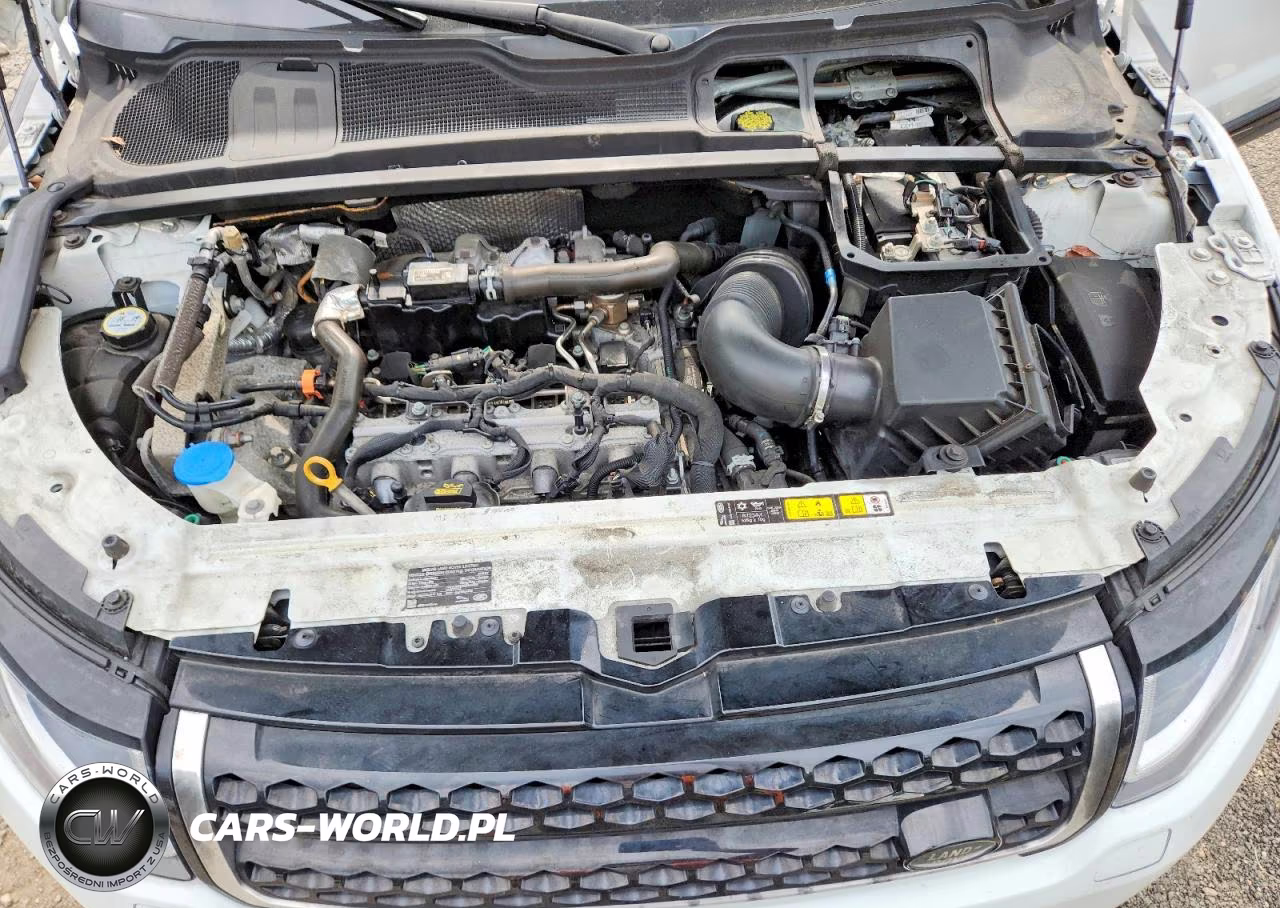 2019 Land Rover Range Rover Evoque Se VIN:SALVP2RX8KH352091 - 12