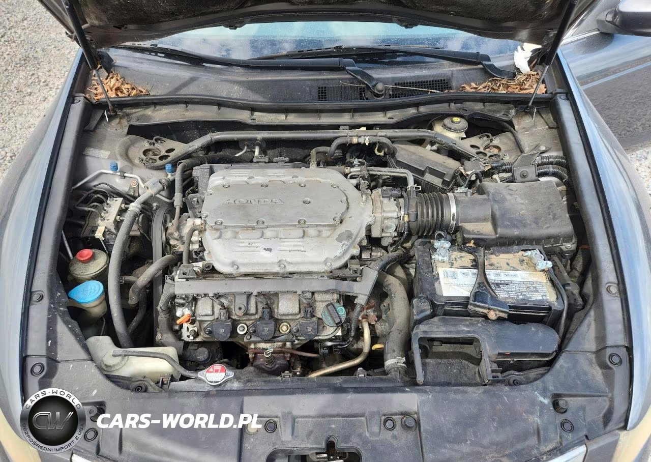 2010 Honda Accord Exl VIN:1HGCP3F85AA029126 - 11