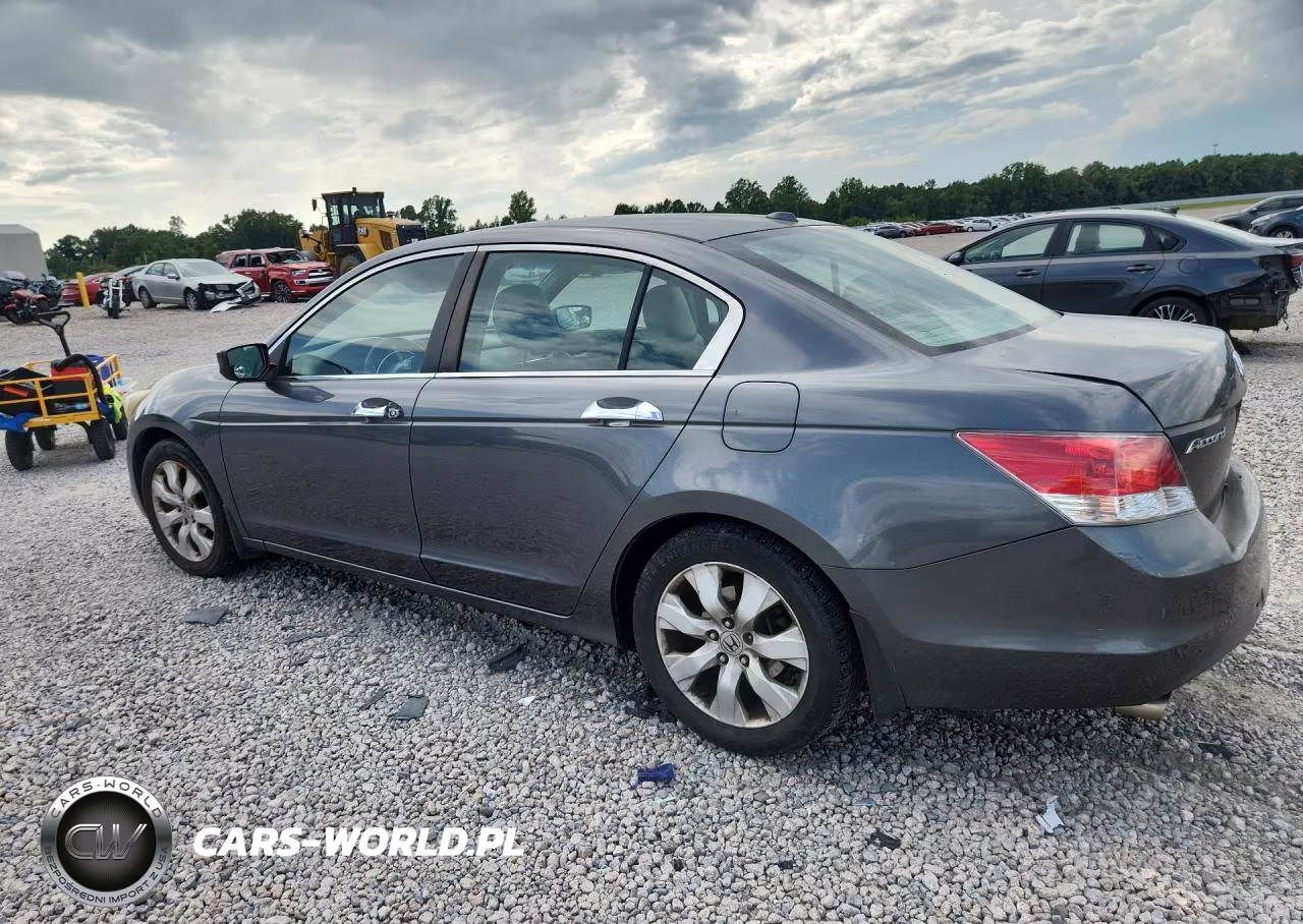 2010 Honda Accord Exl VIN:1HGCP3F85AA029126 - 2