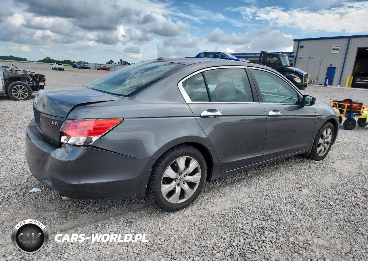 2010 Honda Accord Exl VIN:1HGCP3F85AA029126 - 3