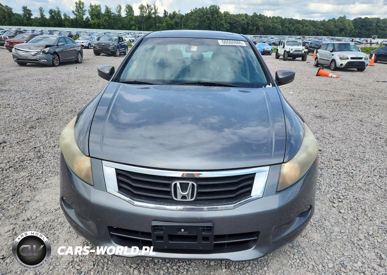 2010 Honda Accord Exl VIN:1HGCP3F85AA029126 - 5