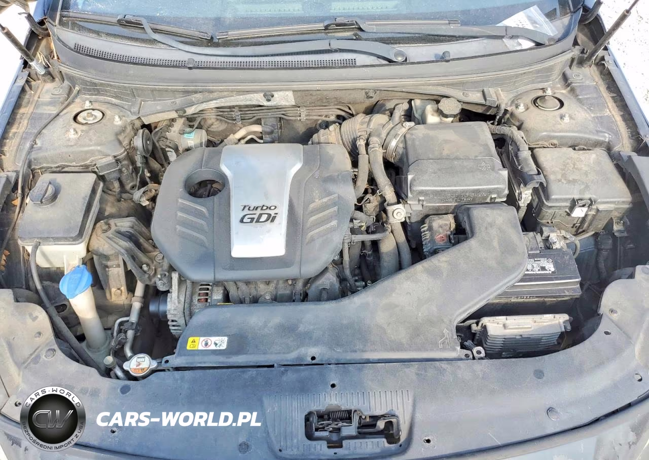 2016 Hyundai Sonata Eco VIN:5NPE24AA3GH399823 - 12