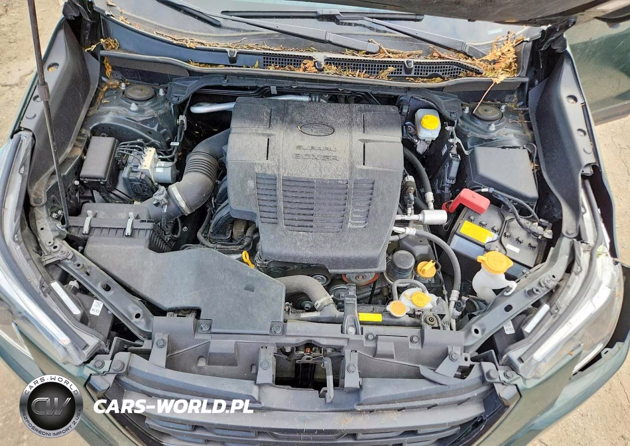 2024 Subaru Forester Premium VIN:JF2SKADC8RH516894 - 12
