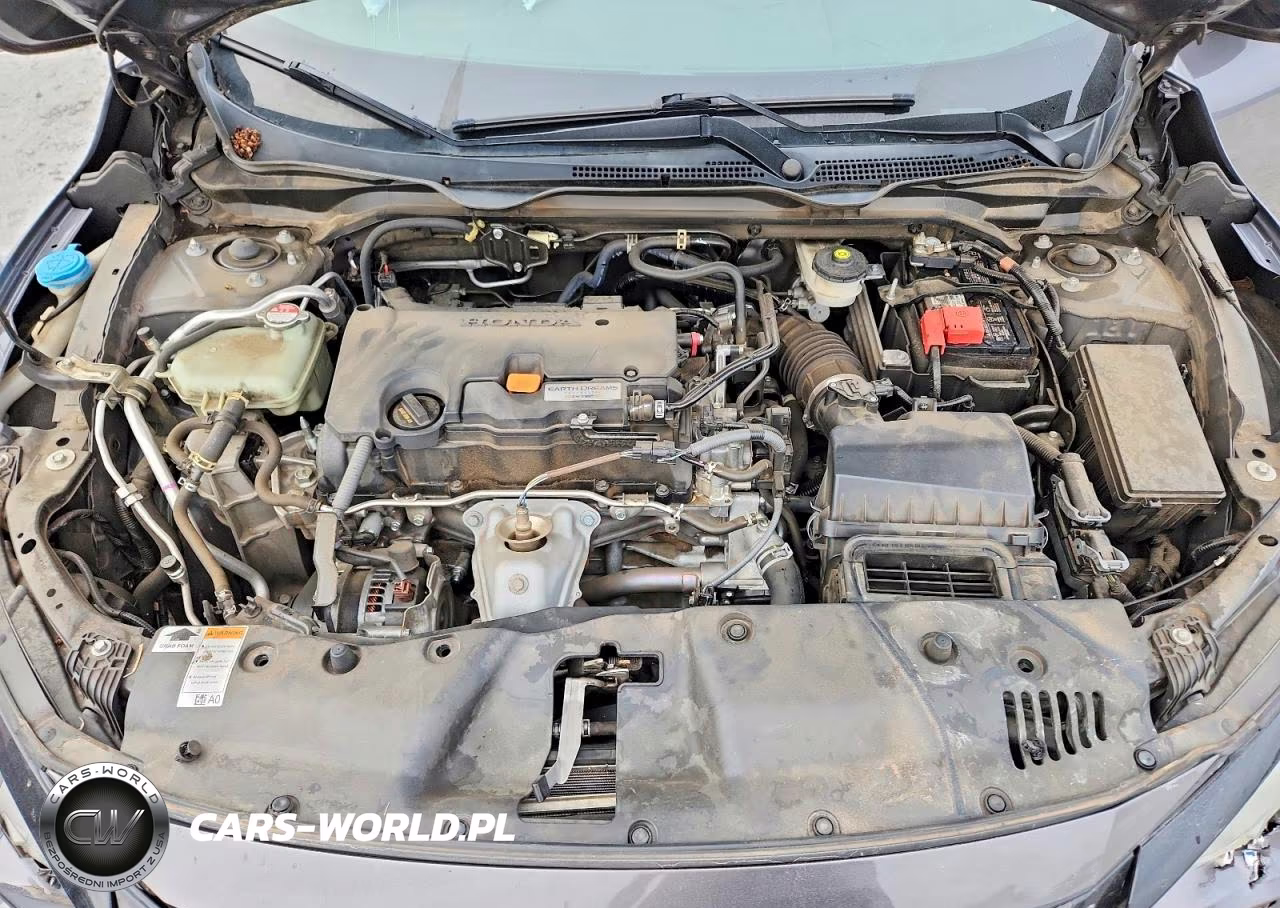 2019 Honda Civic Sport VIN:2HGFC2F83KH556720 - 11