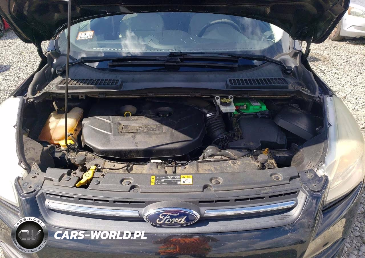 2014 Ford Escape Se VIN:1FMCU9G99EUD32508 - 12
