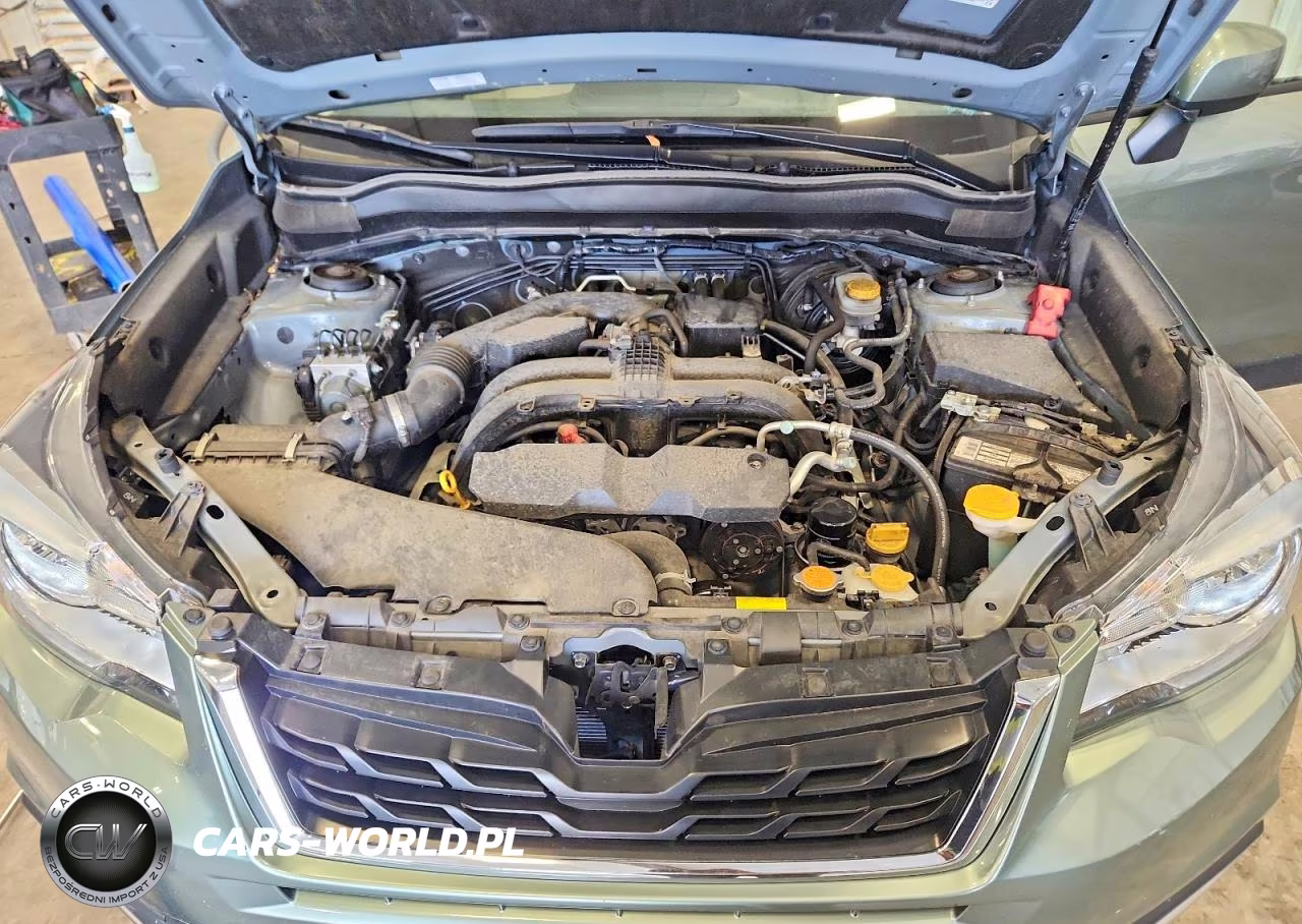 2017 Subaru Forester 2.5I Premium VIN:JF2SJAEC4HH569110 - 12