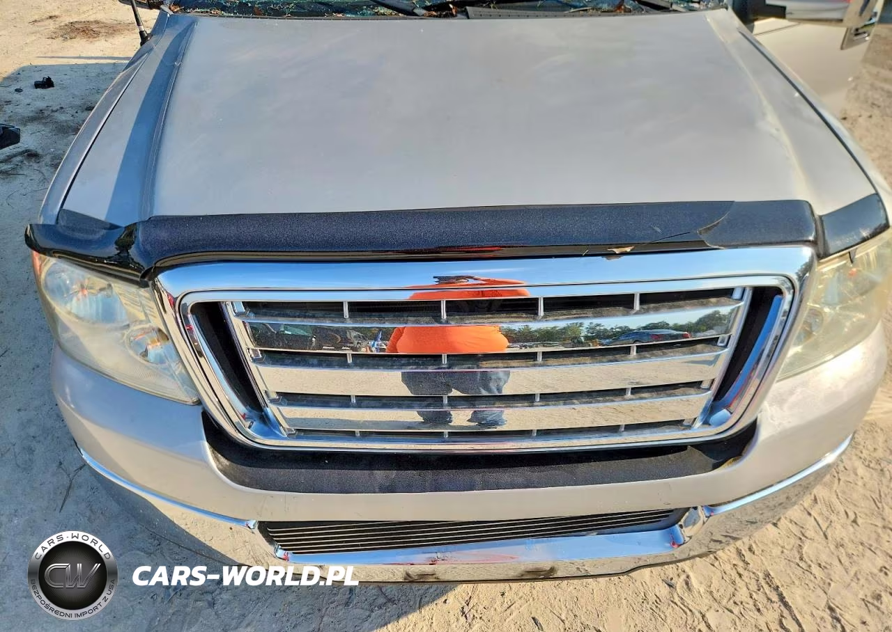 2004 Ford F150 Supercrew VIN:1FTRW12W74KA66326 - 11