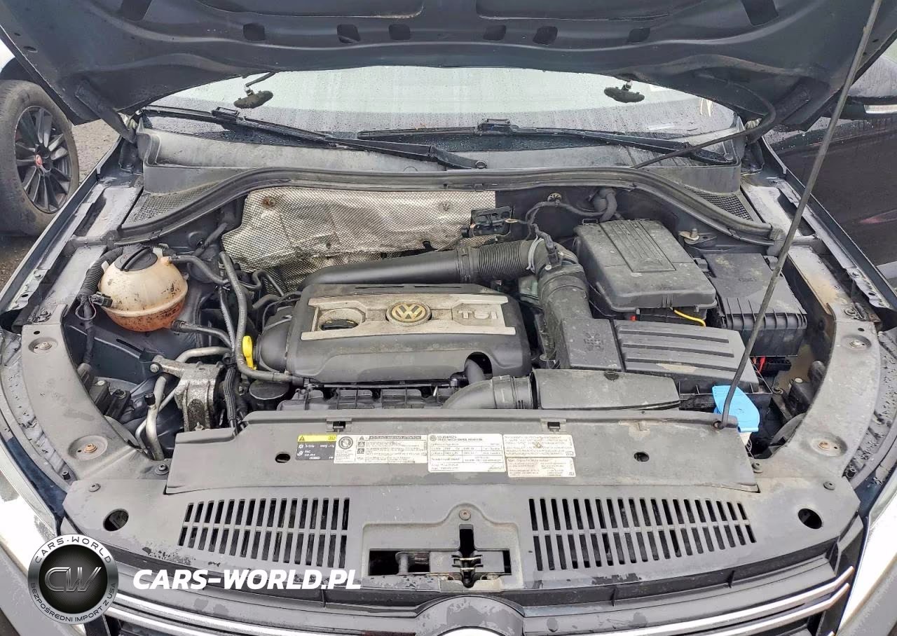 2015 Volkswagen Tiguan S VIN:WVGBV7AXXFW579210 - 12