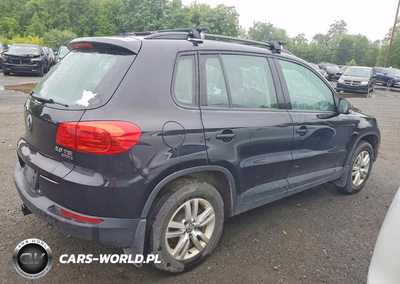 2015 Volkswagen Tiguan S VIN:WVGBV7AXXFW579210 - 3