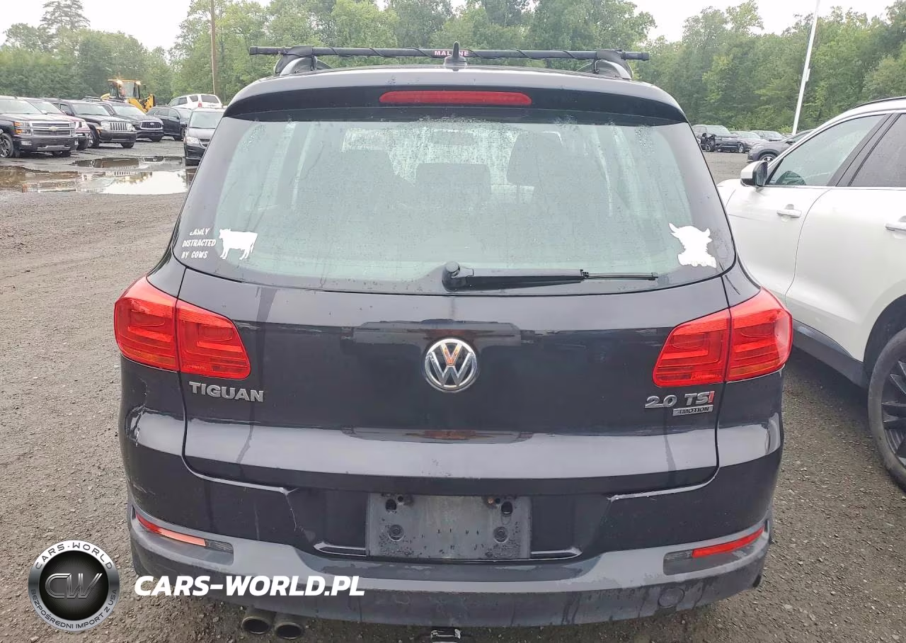 2015 Volkswagen Tiguan S VIN:WVGBV7AXXFW579210 - 6