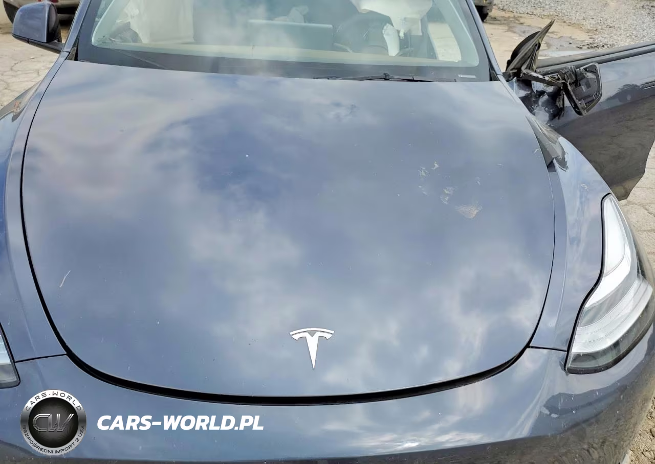 2023 Tesla Model Y VIN:7SAYGDEE7PA057642 - 11