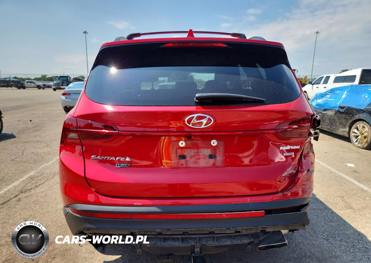 2023 Hyundai Santa Fe Xrt VIN:5NMS6DAJ1PH493493 - 6