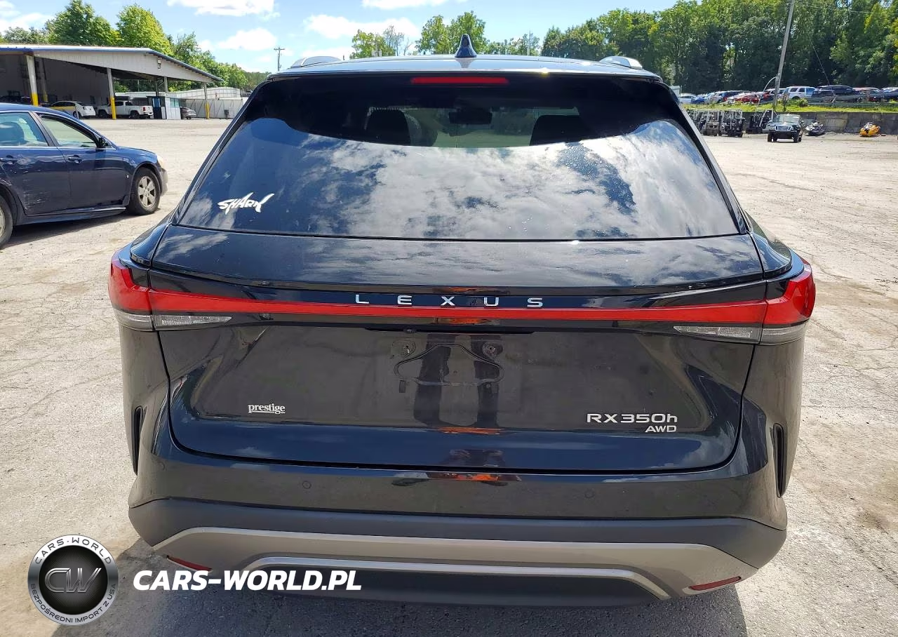 2023 Lexus Rx 350H Premium+ VIN:2T2BBMCA2PC005095 - 6