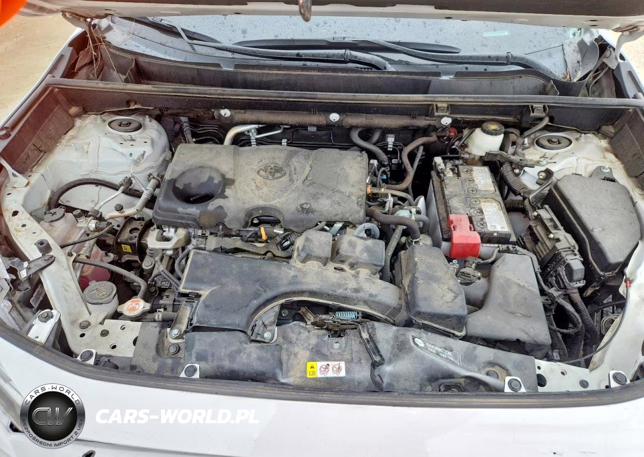 2024 Toyota Rav4 Xle VIN:2T3W1RFVXRC277313 - 13