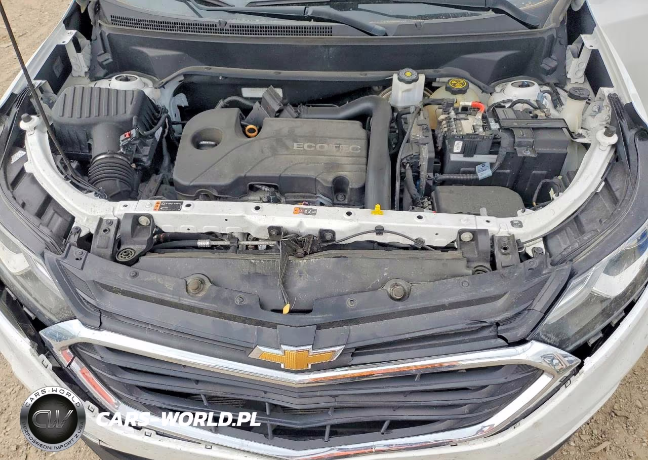 2018 Chevrolet Equinox Lt VIN:2GNAXJEVXJ6127915 - 12