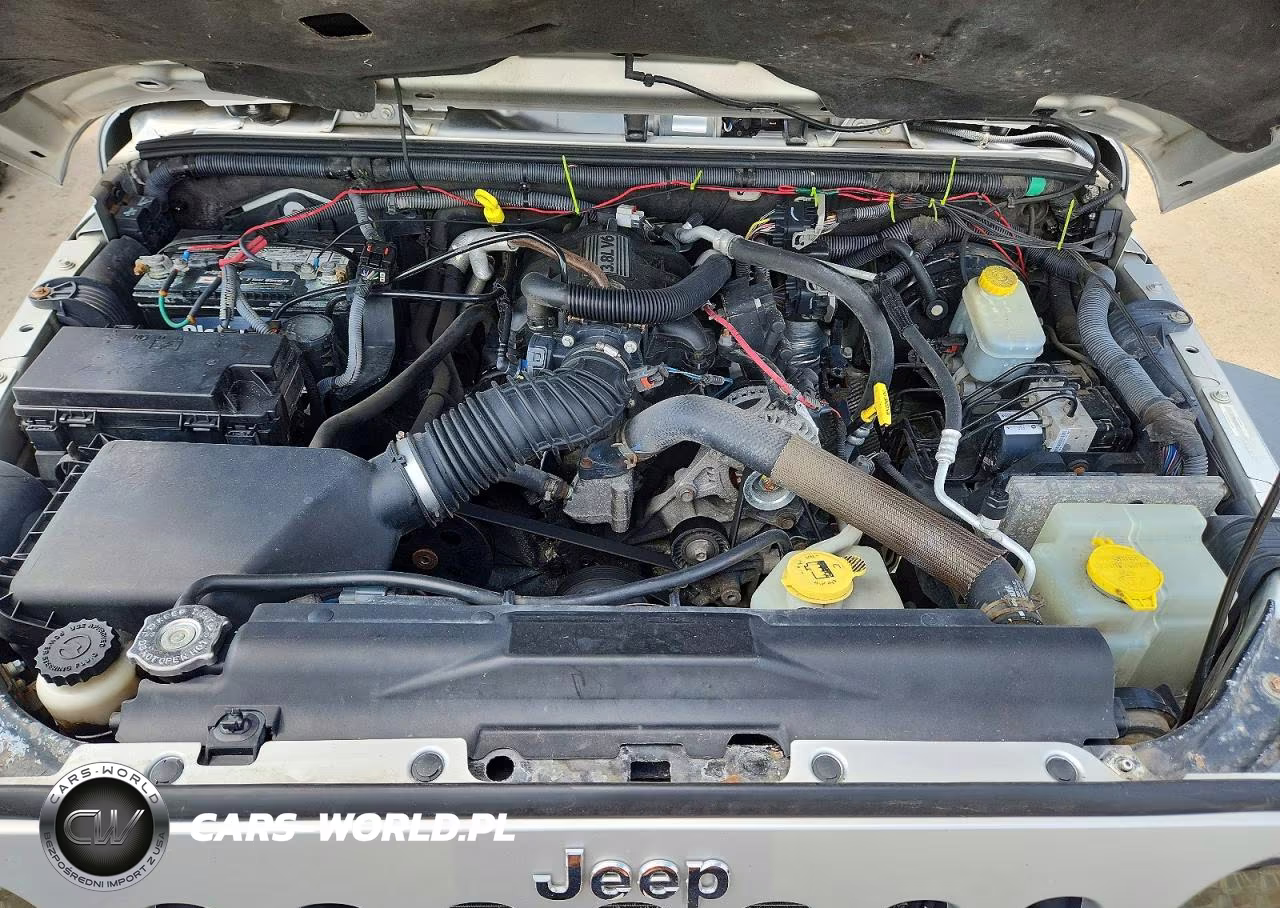 2010 Jeep Wrangler Unlimited Rubicon VIN:1J4BA6H18AL133962 - 11