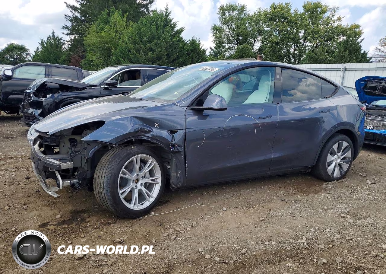 2023 Tesla Model Y VIN:7SAYGDEE1PA174584 - 1