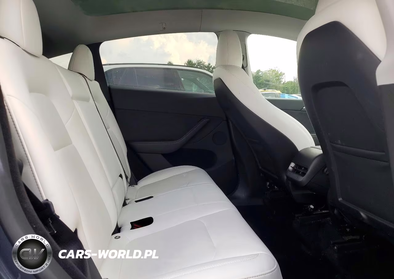 2023 Tesla Model Y VIN:7SAYGDEE1PA174584 - 10