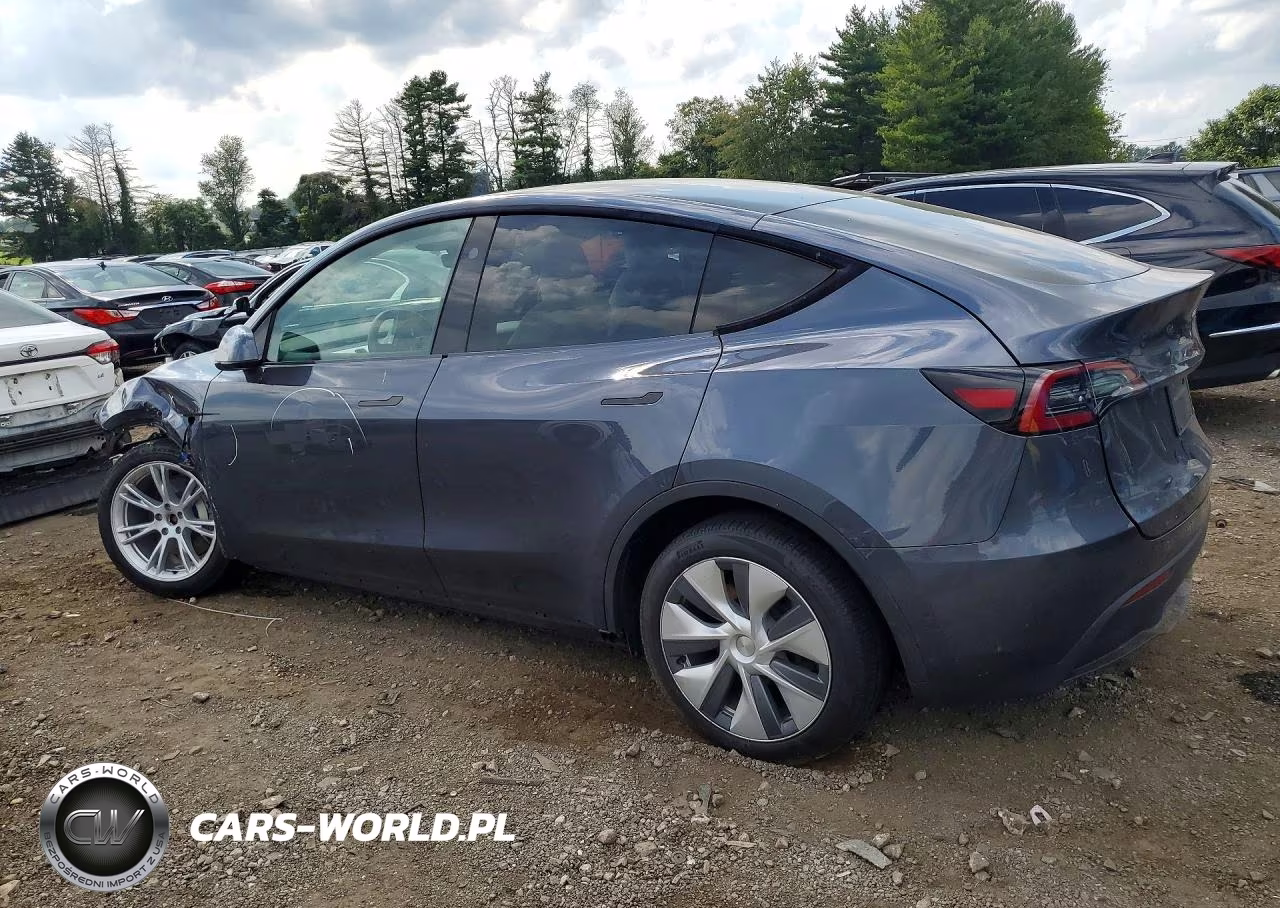 2023 Tesla Model Y VIN:7SAYGDEE1PA174584 - 2