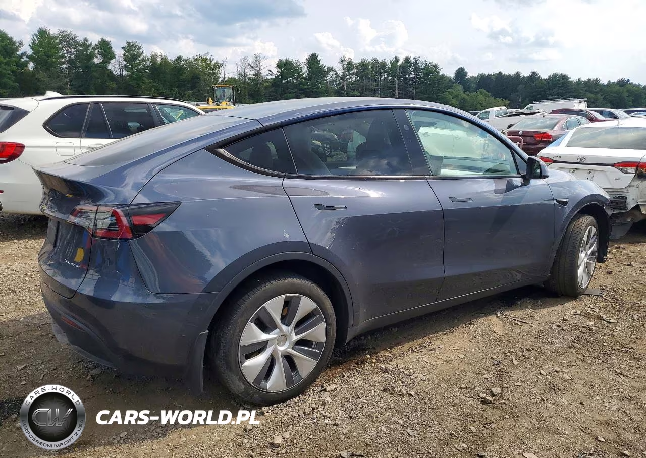 2023 Tesla Model Y VIN:7SAYGDEE1PA174584 - 3