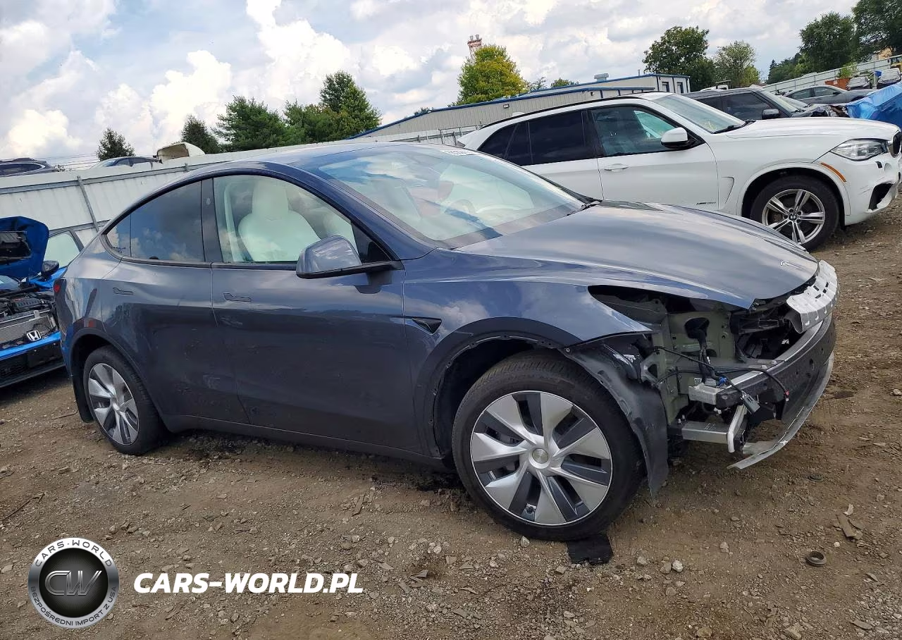 2023 Tesla Model Y VIN:7SAYGDEE1PA174584 - 4