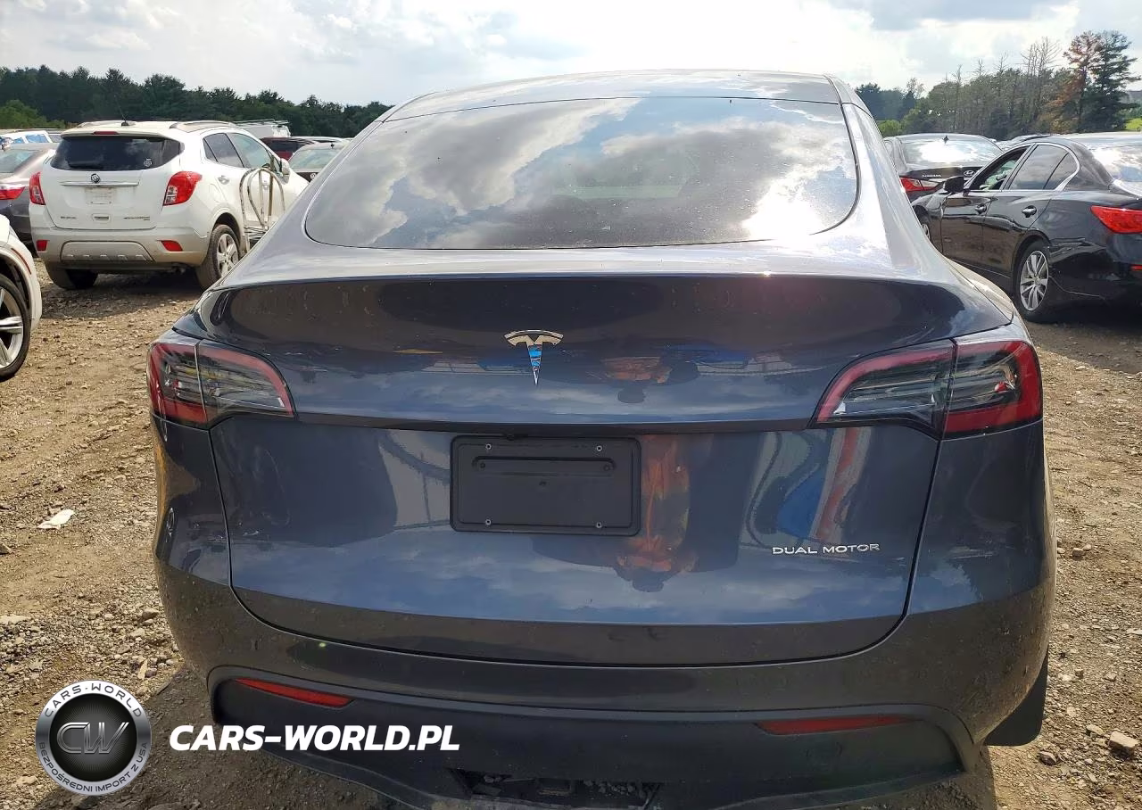 2023 Tesla Model Y VIN:7SAYGDEE1PA174584 - 6
