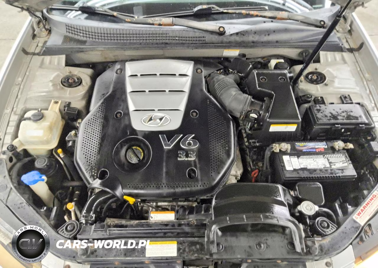 2006 Hyundai Sonata Gls V6 VIN:5NPEU46F66H084981 - 11
