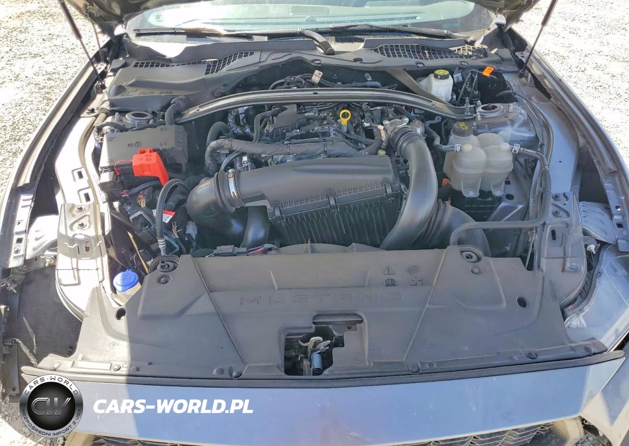2025 Ford Mustang VIN:1FAGP8UH9S5106970 - 11