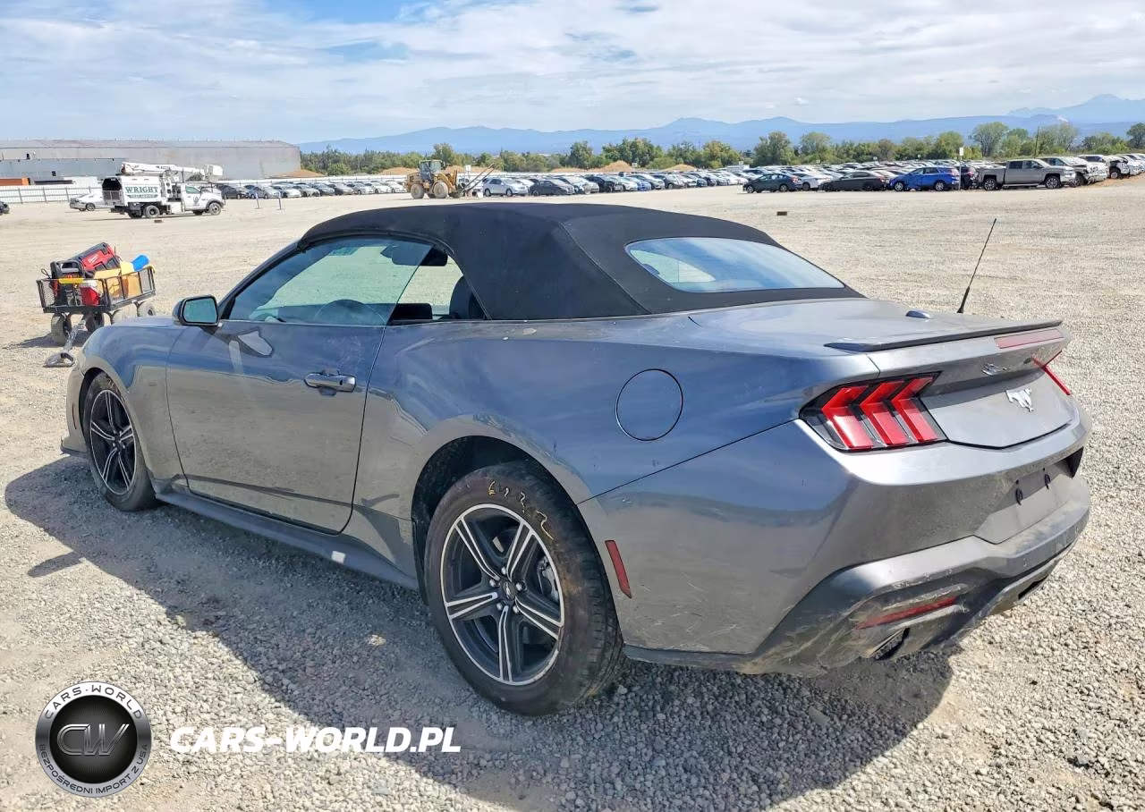 2025 Ford Mustang VIN:1FAGP8UH9S5106970 - 2