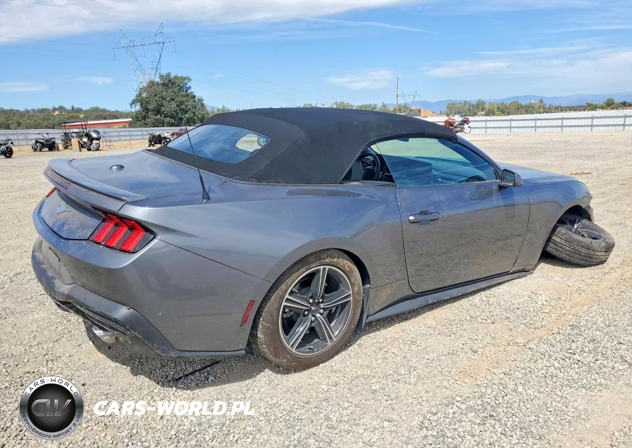 2025 Ford Mustang VIN:1FAGP8UH9S5106970 - 3