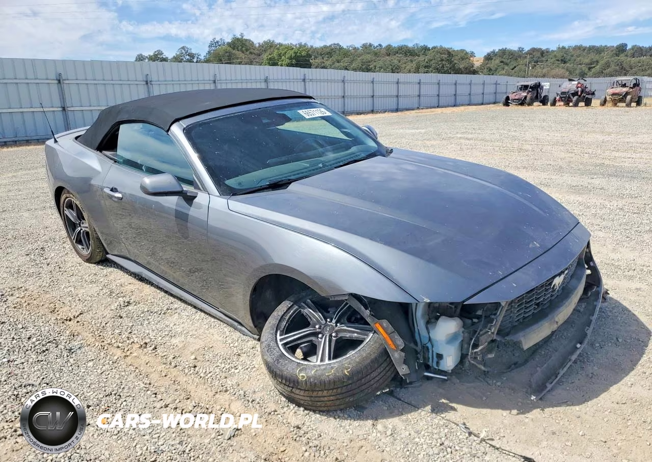 2025 Ford Mustang VIN:1FAGP8UH9S5106970 - 4