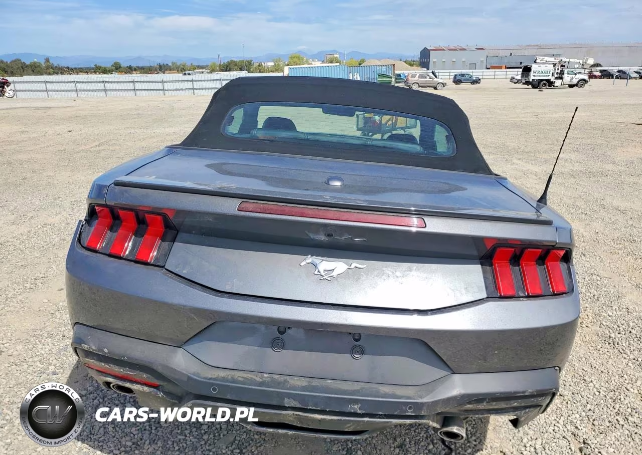 2025 Ford Mustang VIN:1FAGP8UH9S5106970 - 6