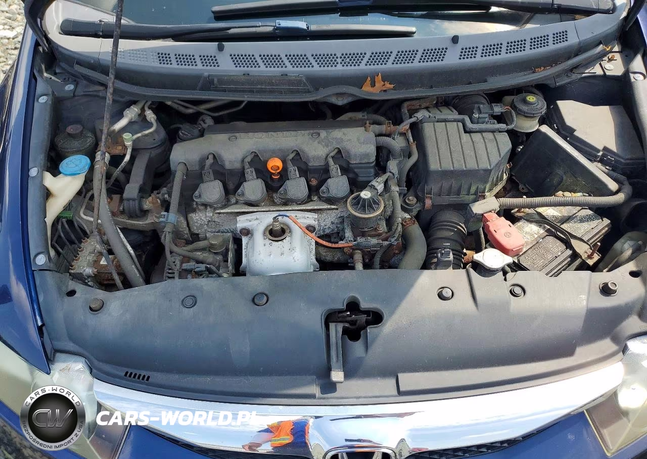 2009 Honda Civic Lx VIN:2HGFA16509H501173 - 11