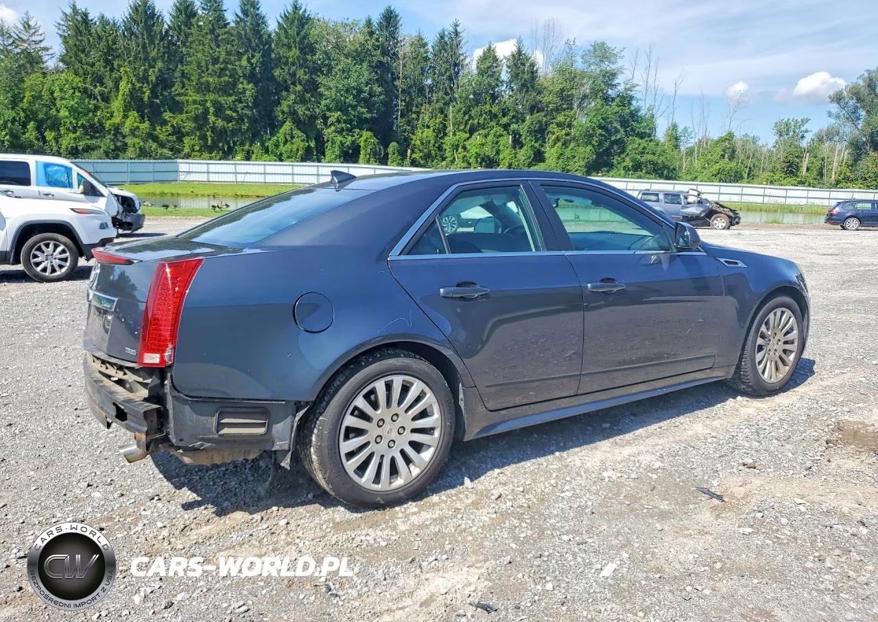 2013 Cadillac Cts Premium Collection VIN:1G6DP5E39D0117145 - 3