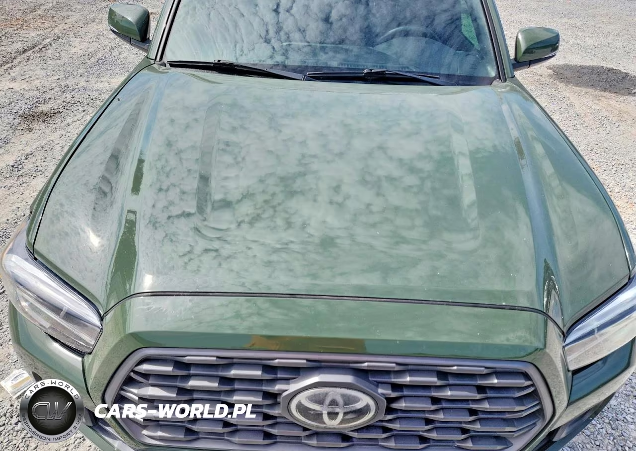 2021 Toyota Tacoma Trd Off-Road VIN:5TFCZ5ANXMX245797 - 11
