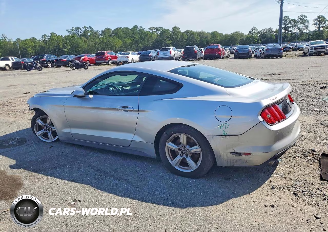 2016 Ford Mustang VIN:1FA6P8AM8G5270974 - 2