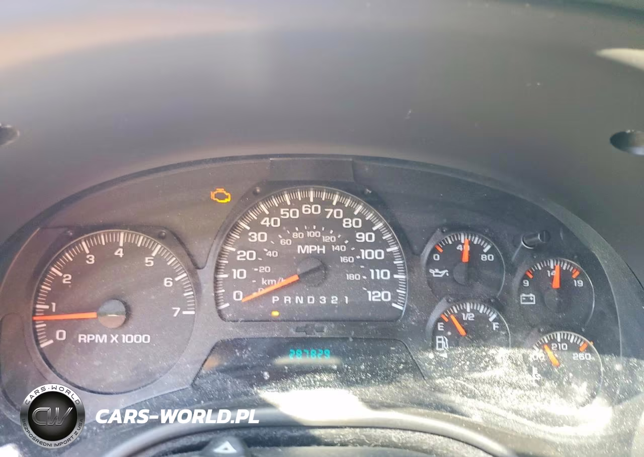 2009 Chevrolet Trailblazer Lt VIN:1GNDS33S392114710 - 9